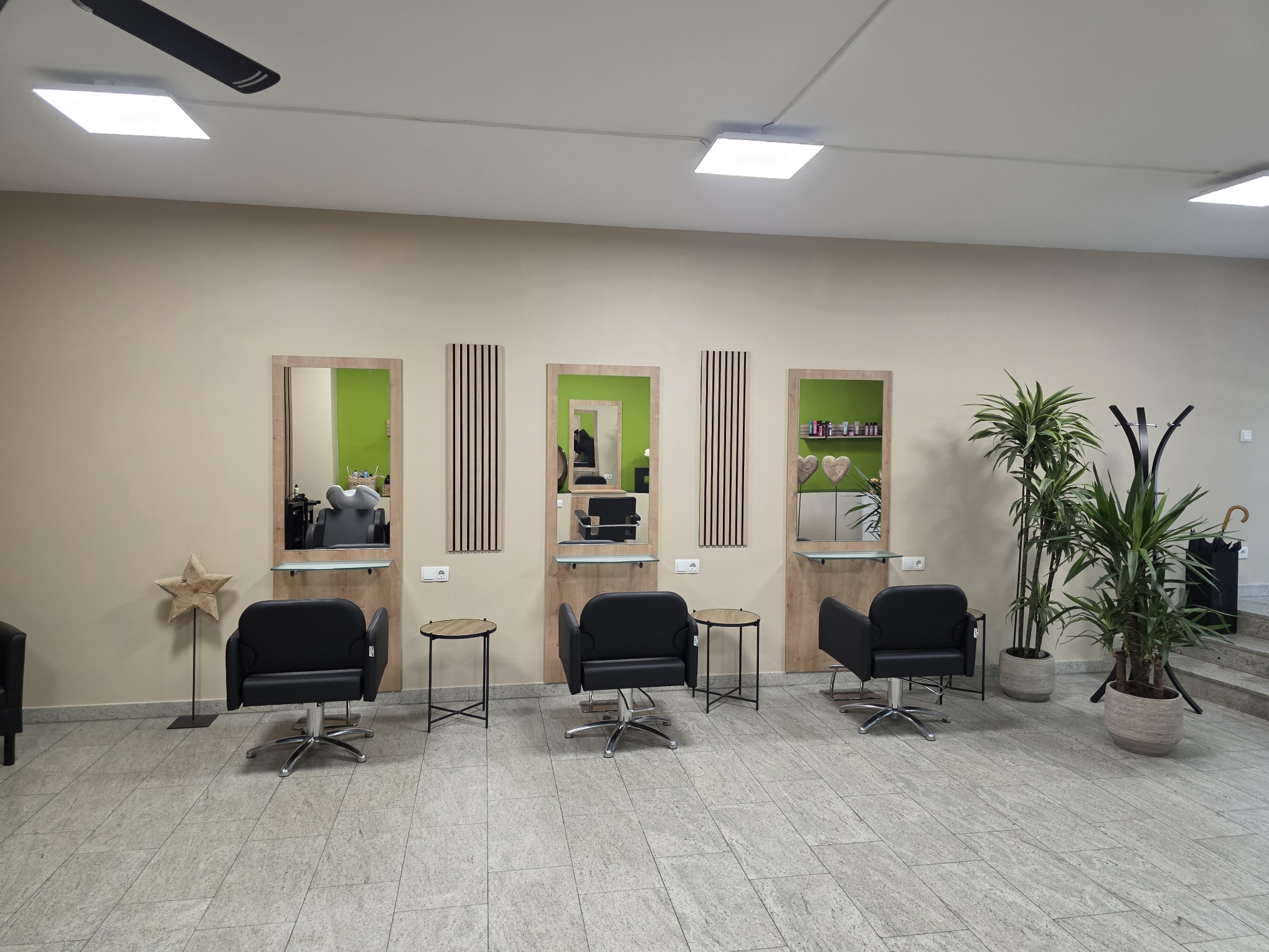 Salon Capelli – Arbeitsplätze mit Spiegeln und Yucca-Pflanzen